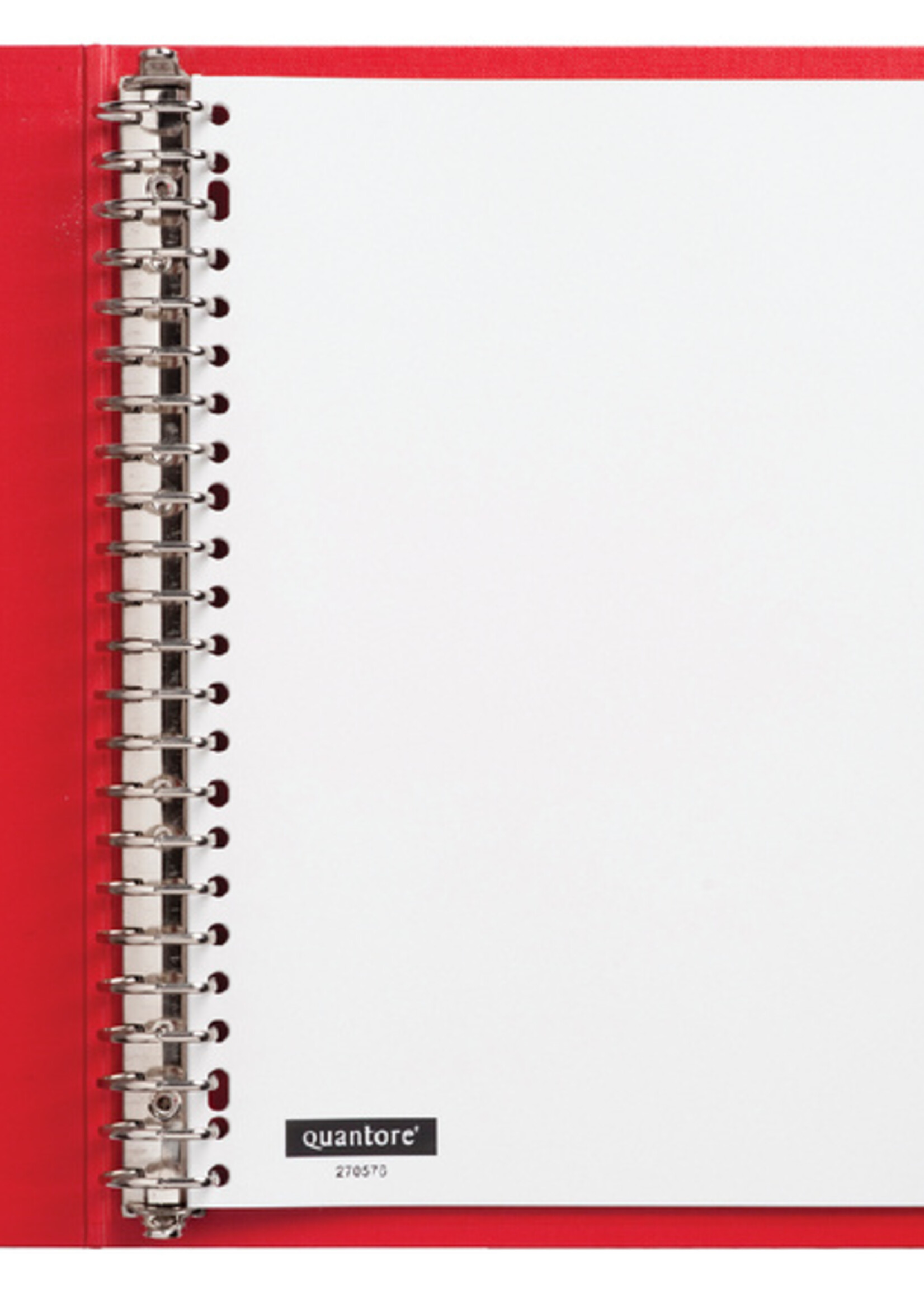 Quantore Quantore TABBLADEN 23R PP 1-31 WIT