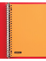 Quantore TABBLADEN 23R PP 10DLG VT ASS