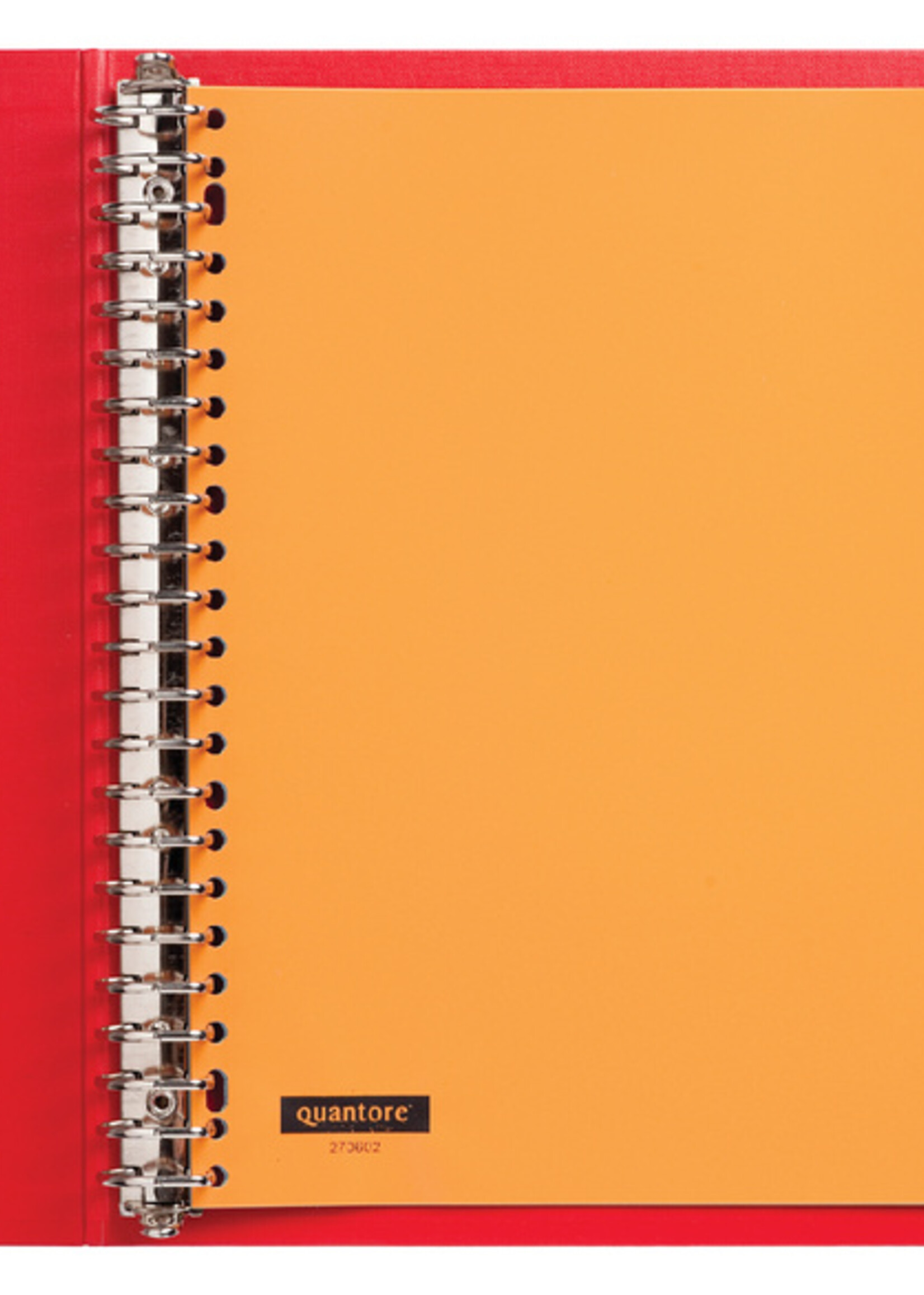 Quantore Quantore TABBLADEN 23R PP 10DLG VT ASS