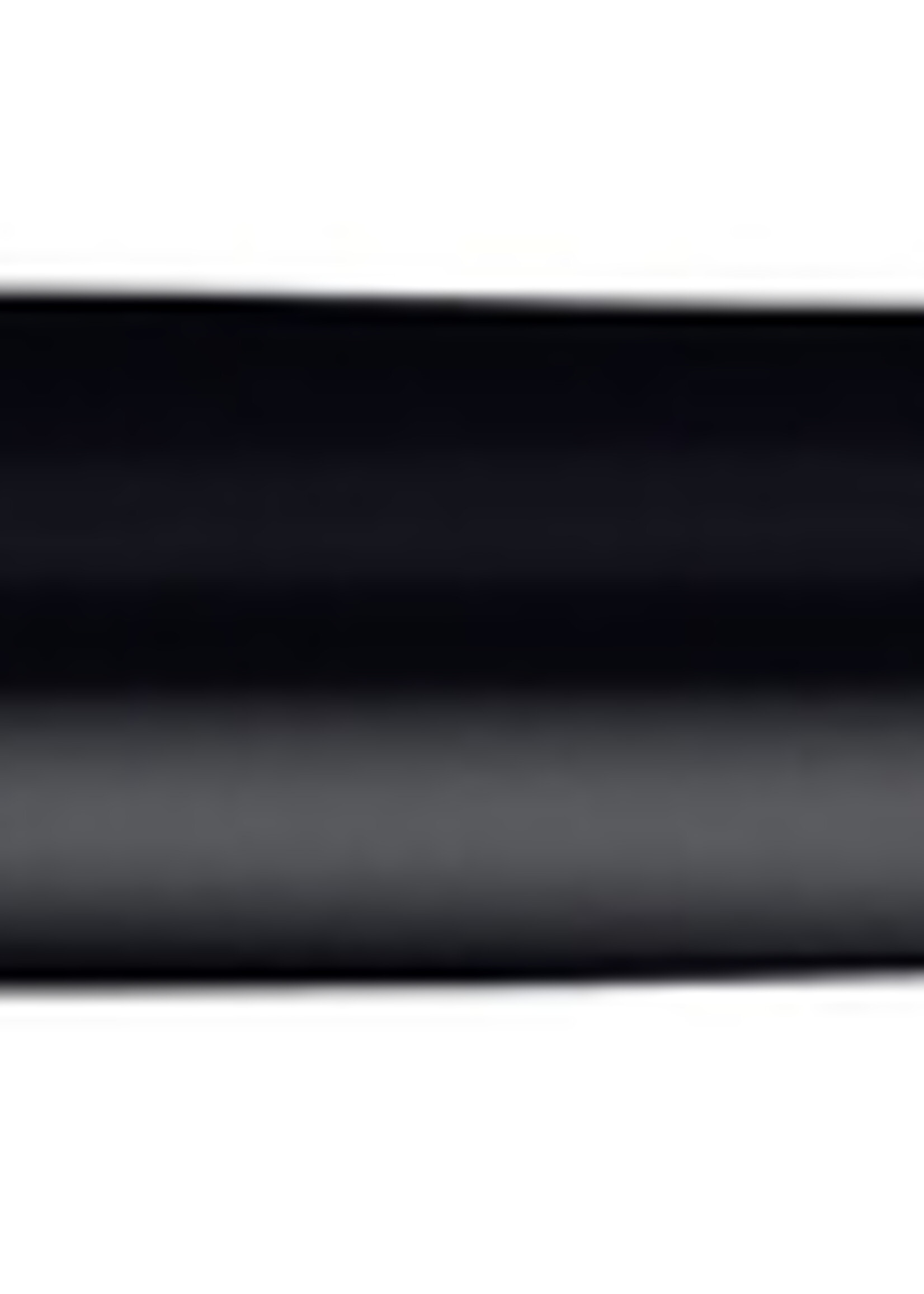 Waterman Waterman VULPEN EXPERT CT MEDIUM LAQUE ZW