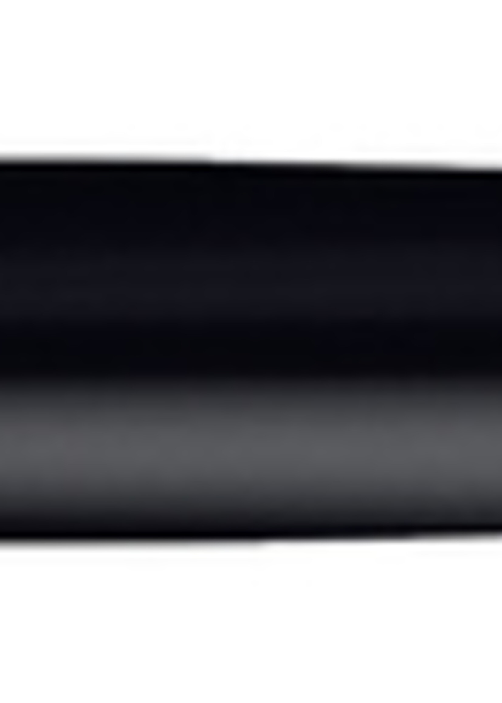 Waterman Waterman VULPEN EXPERT CT MEDIUM ZW