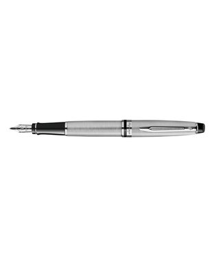 Waterman VULPEN EXPERT CT ACIER MEDIUM