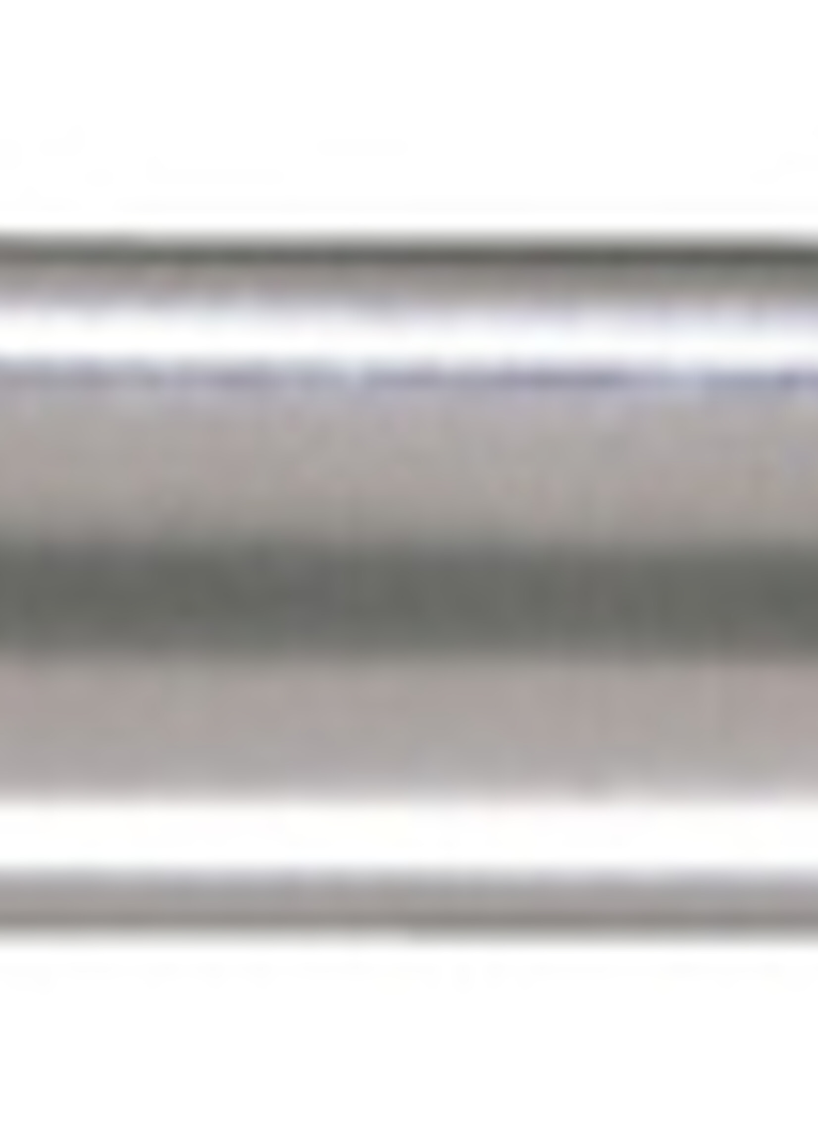 Waterman Waterman VULPEN HEMISPHERE GT RVS FIJN