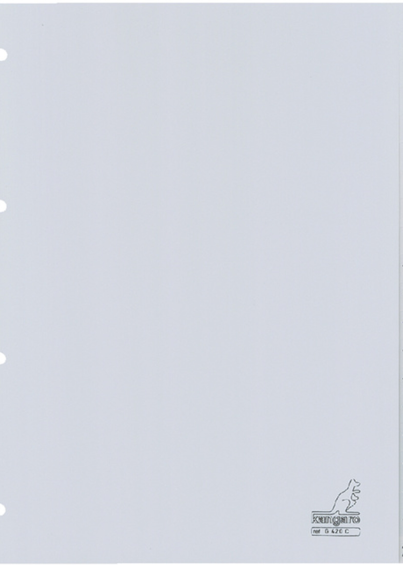 Kangaro Kangaro TABBLAD G420C A4 4R 20DLG 2STKS