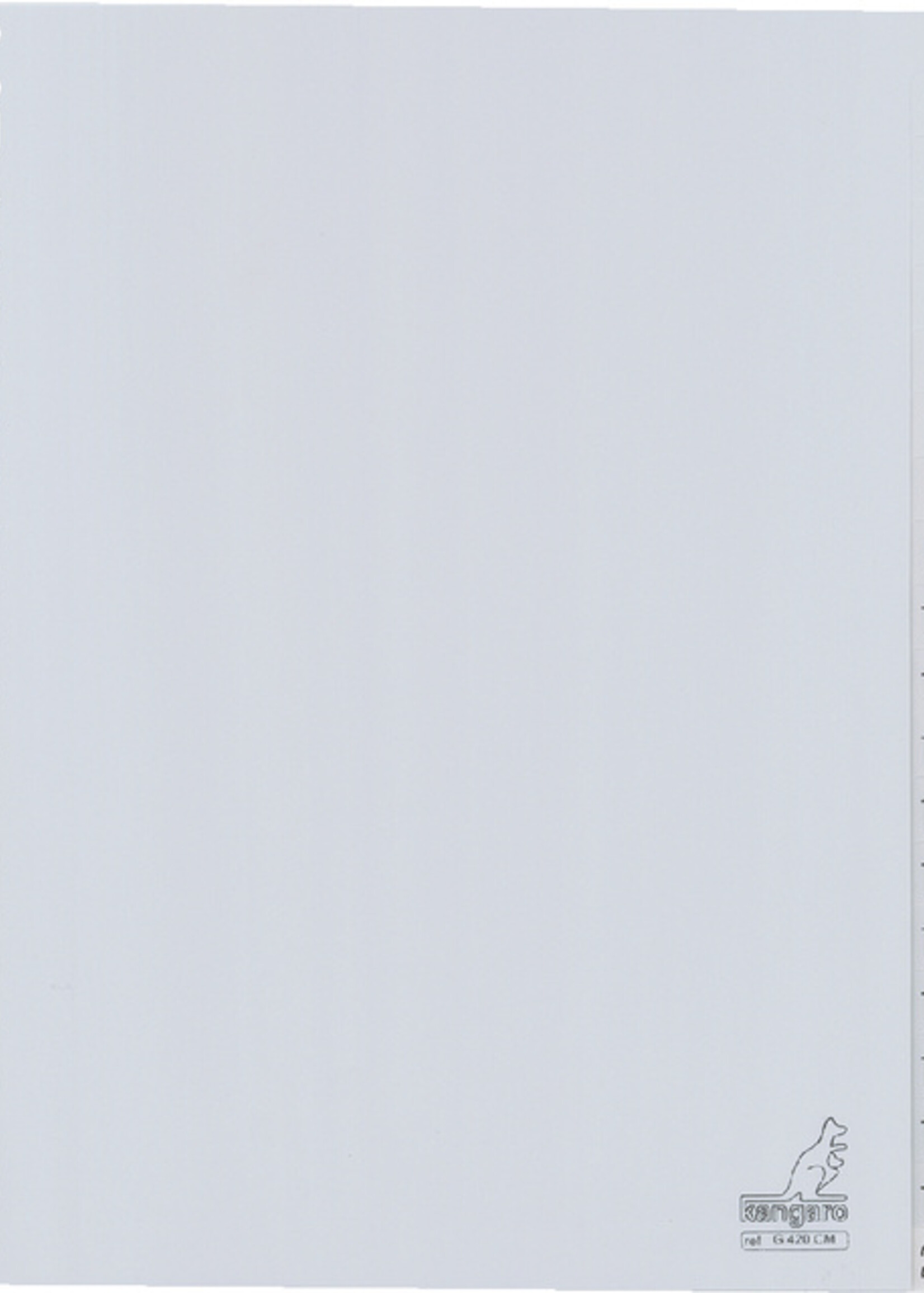 Kangaro Kangaro TABBLAD G420CM A4 23R 1-20 2STKS