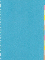 Kangaro TABBLAD RY412M A4 23R 12DL
