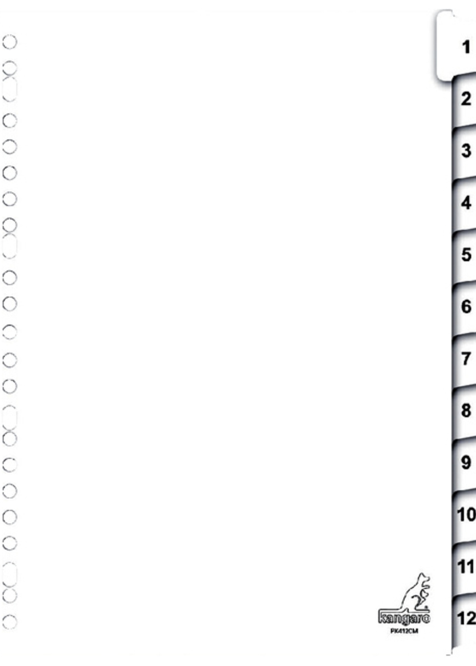 Kangaro Kangaro TABBLAD PK412CM A4 23R 12D