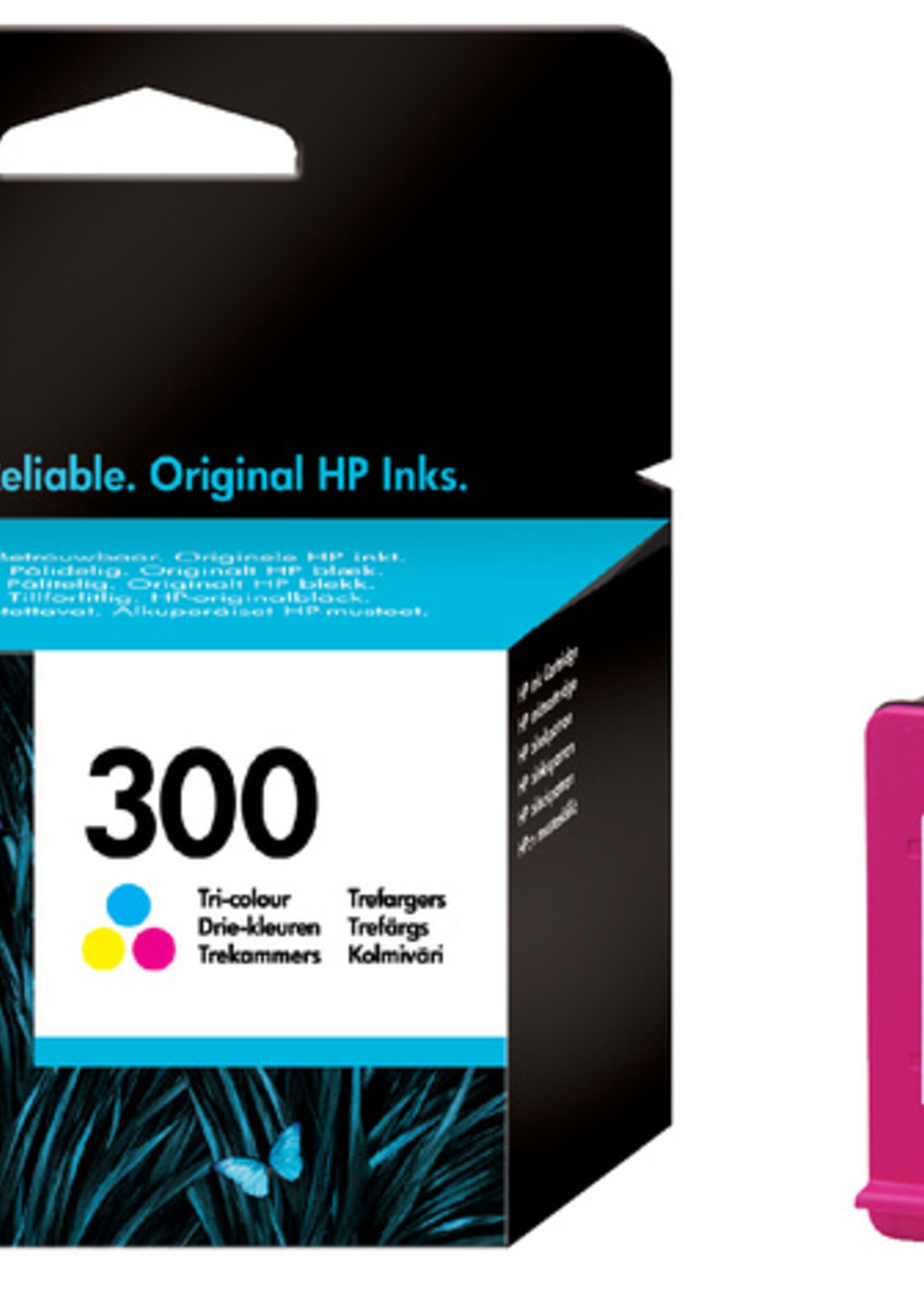 HP HP INKCARTRIDGE 300 - CC643EE KL