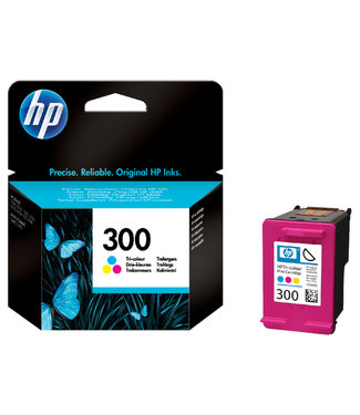 HP INKCARTRIDGE 300 - CC643EE KL