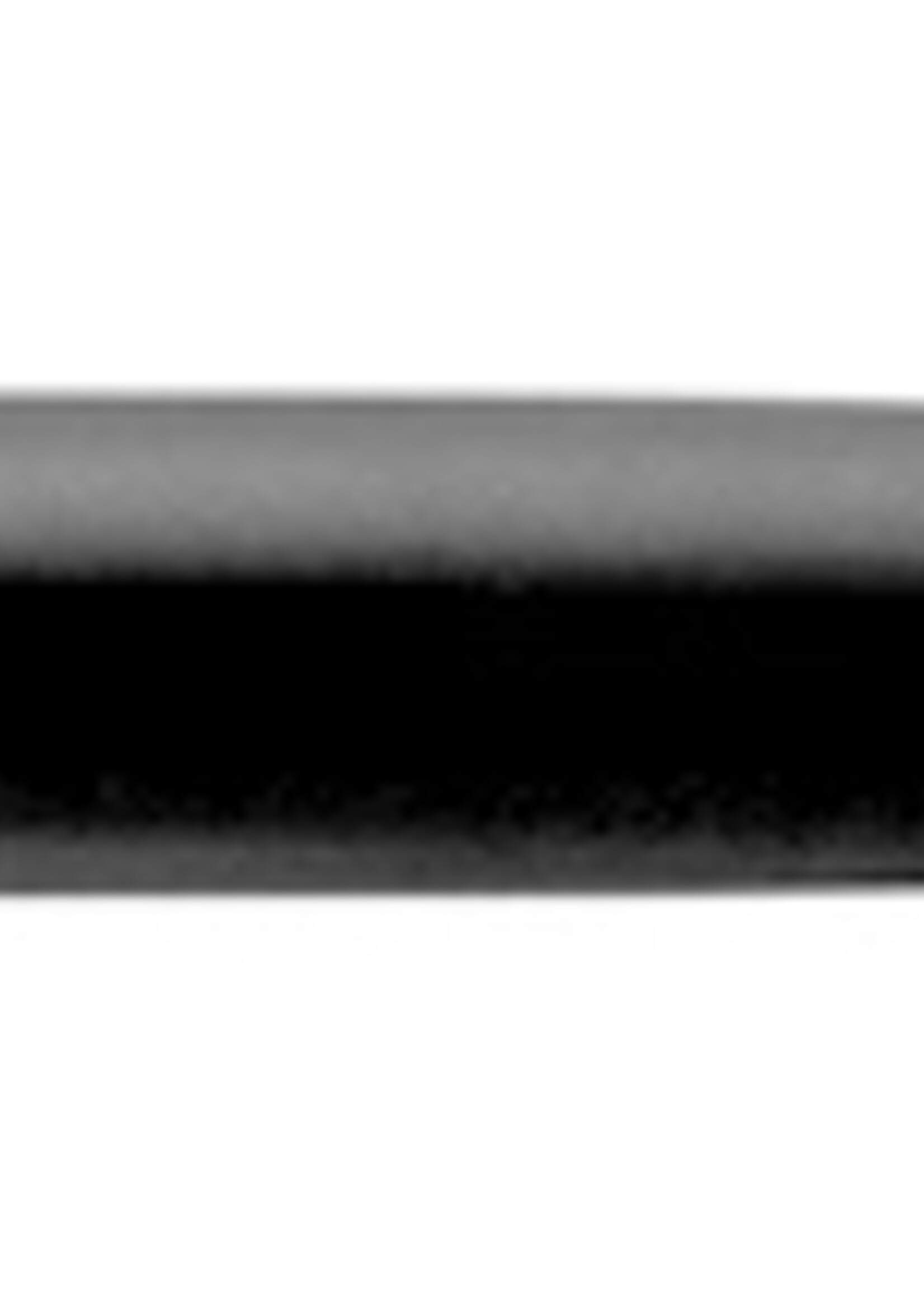 Parker Parker VULPEN IM MATTE BLACK CT F