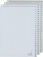 Kangaro TABBLAD G4100CM A4 1-100