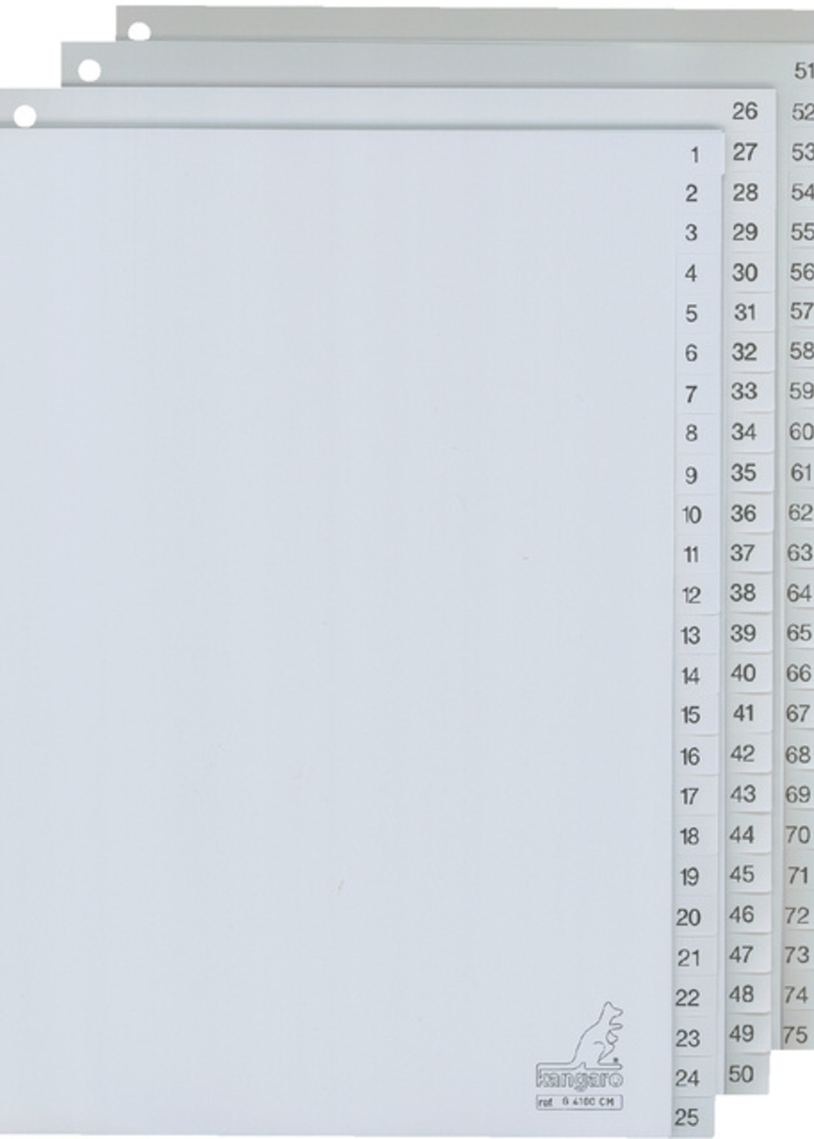 Kangaro Kangaro TABBLAD G4100CM A4 1-100