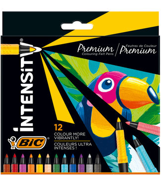 Bic KLEURSTIFT INTENSITY ASS 12STKS