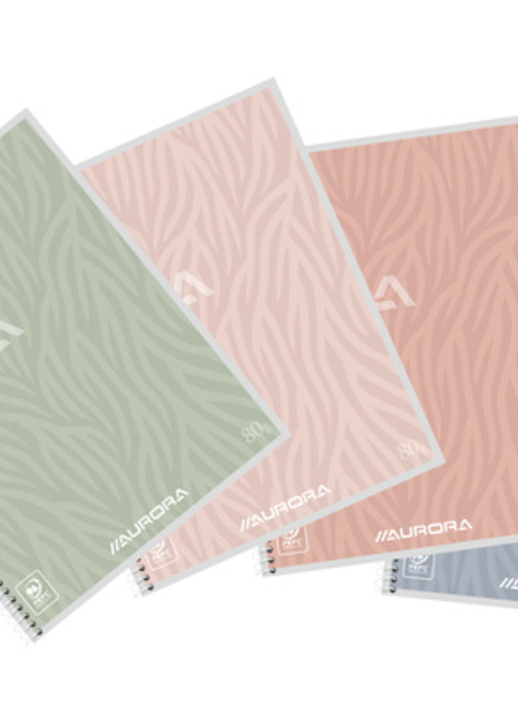 Aurora Aurora SCHRIFT A5 LIJN ASS 120BLZ 80GR