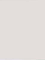 Budget SCHEIDINGSSTROKEN 105X240 WT 50STKS