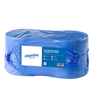 Cleaninq POETSROL IND 24X300 2L BL