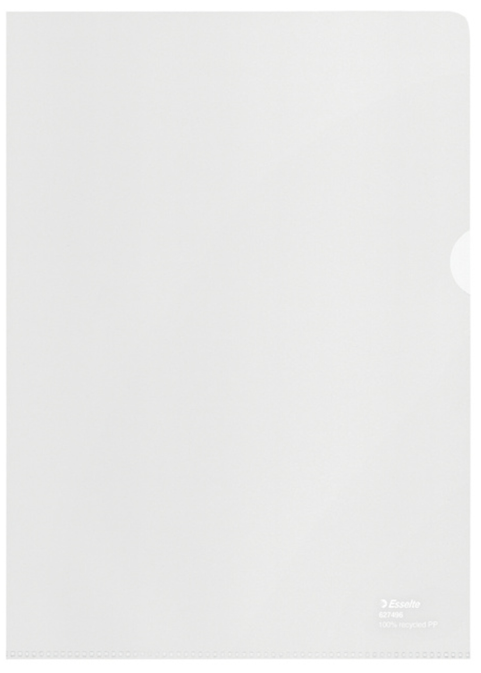 Esselte Esselte L-MAP A4 PP TR 100STKS