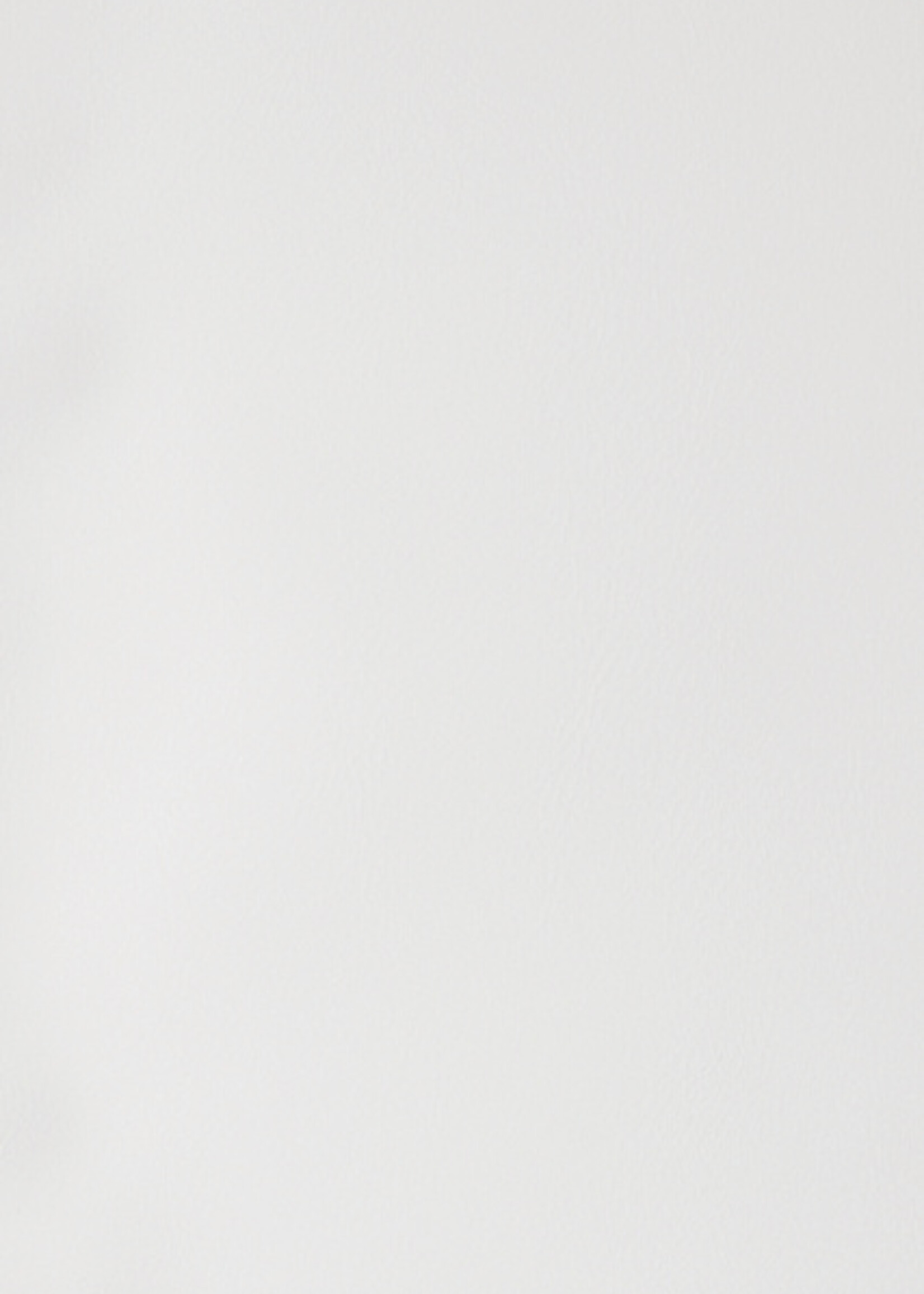 GBC GBC VOORBLAD A4 PP 300MIC WT 100STKS