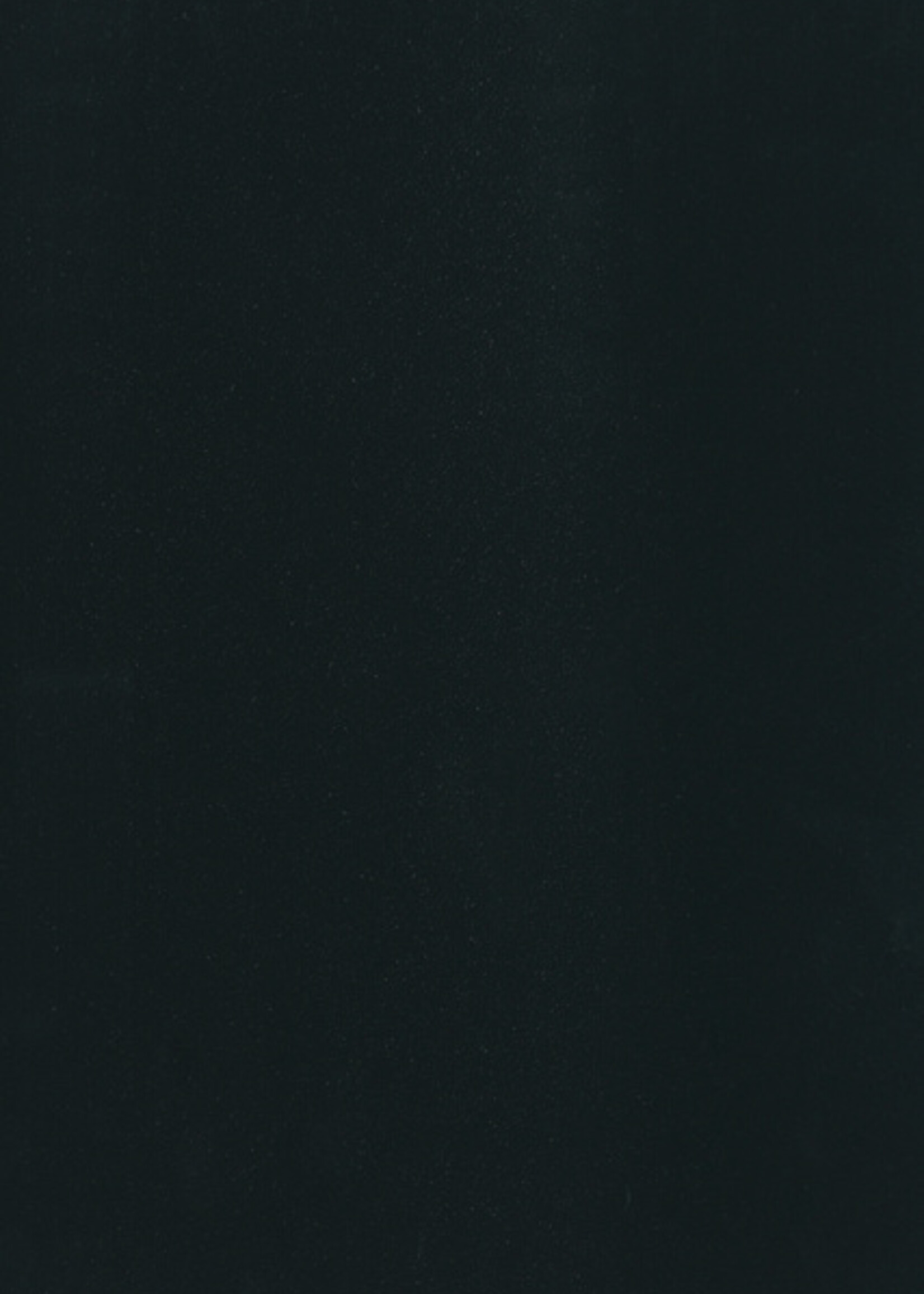 GBC GBC VOORBLAD A4 PP 300MIC ZW 100STKS