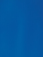 GBC VOORBLAD A4 PP 300MIC DBL 100STKS