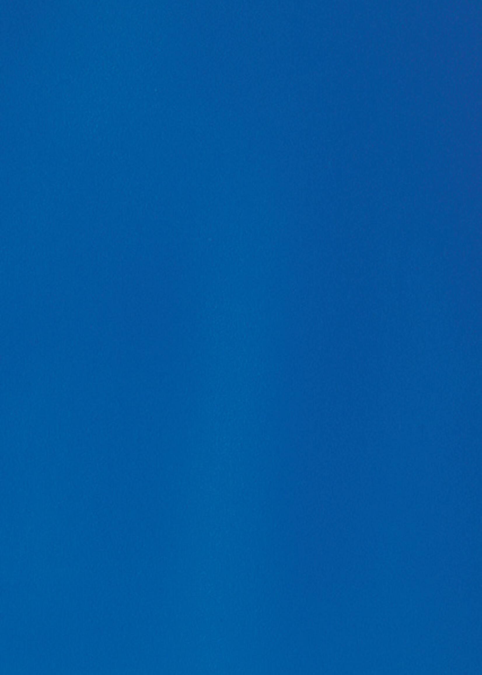 GBC GBC VOORBLAD A4 PP 300MIC DBL 100STKS