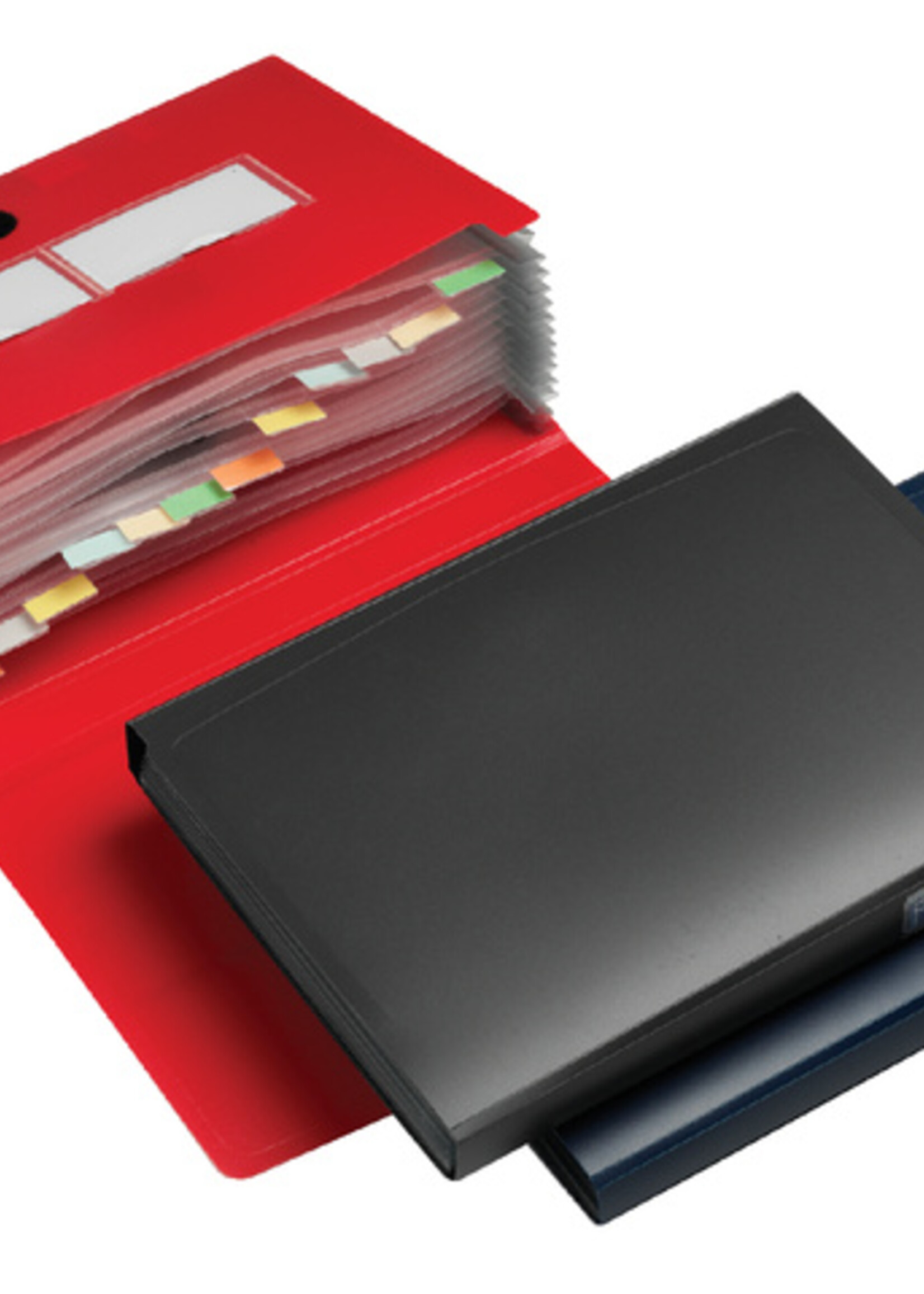 HF2 HF2 SORTEERMAP 12TAB A4 ANTRACIET