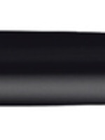 Waterman ROLLERPEN EXPPERT MATT CT ZW