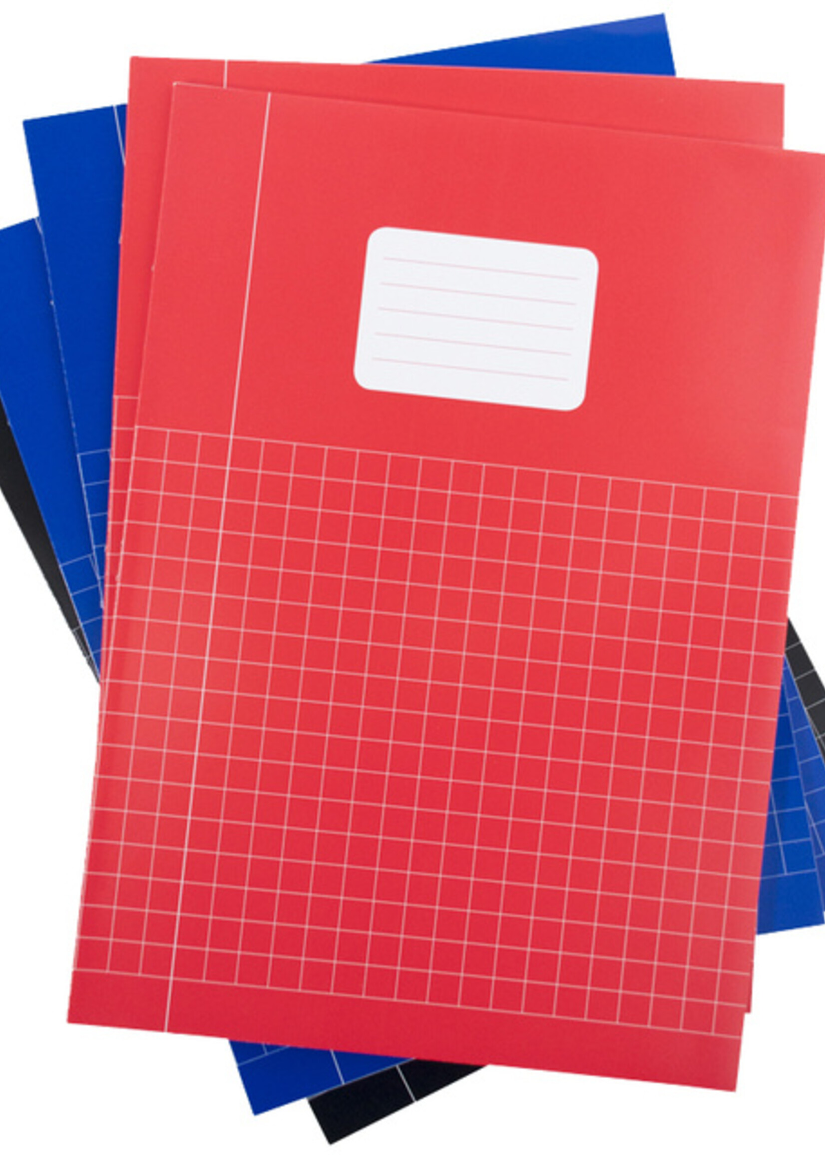 Verhaak Verhaak SCHRIFT BASIC A4 10MM 80BLZ 60GR RT 5STKS