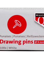 Quantore PUNAISES WT 100STKS