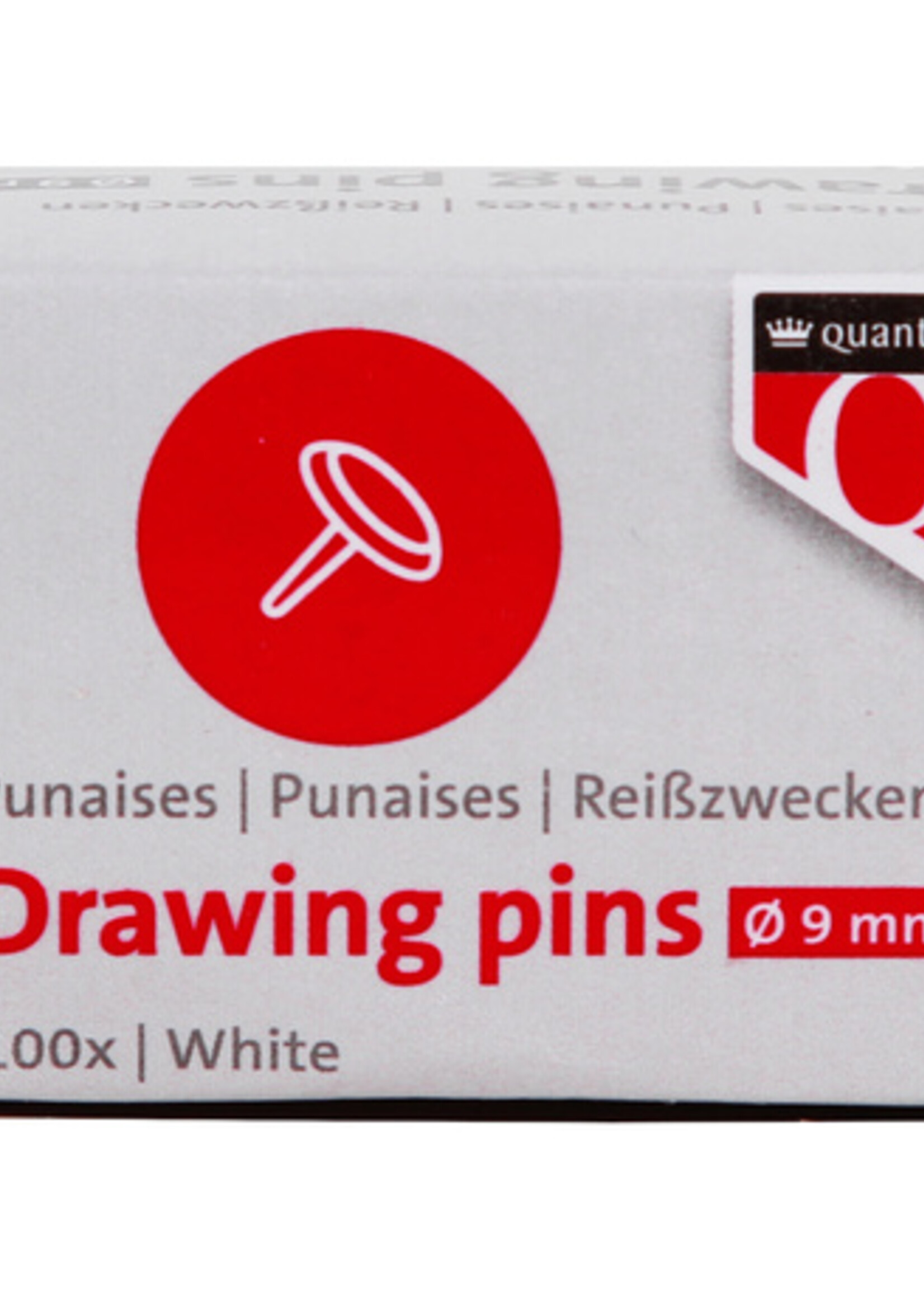 Quantore Quantore PUNAISES WT 100STKS