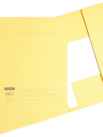 Quantore DOSSIERMAP FOLIO 320GR CH