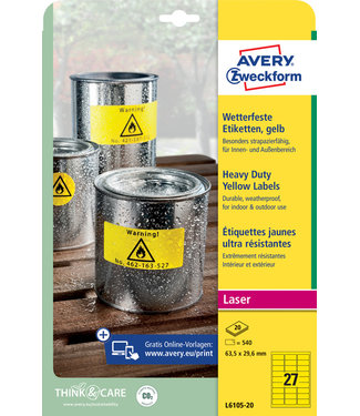 Avery Zweckform ETIKET L6105 63.5X29.6MM GL 540STKS