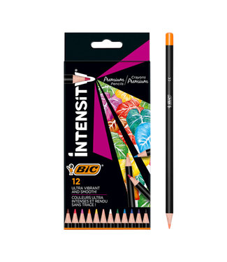 Bic KLEURPOTLOOD INTENSITY ASS