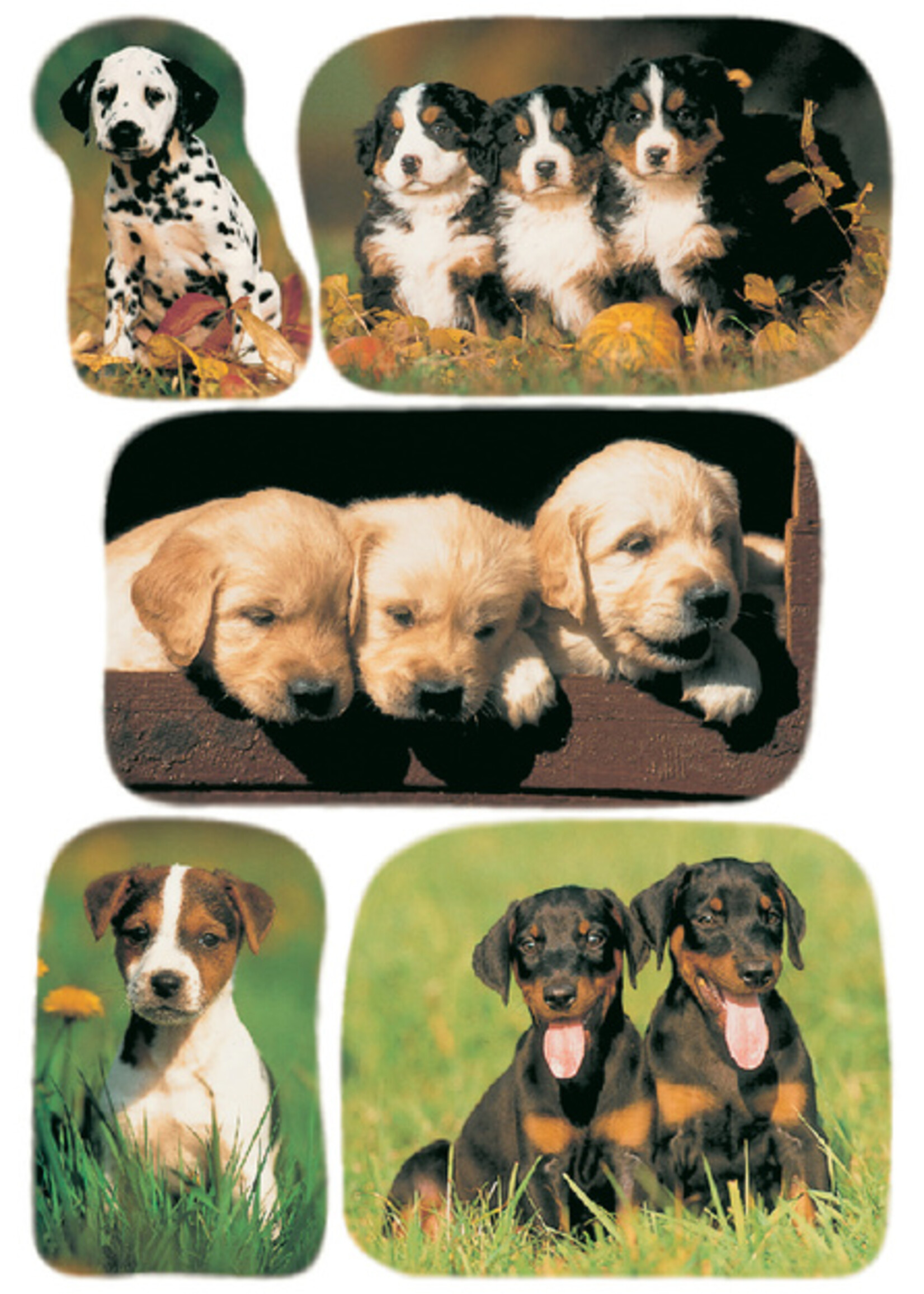 Herma Herma ETIKET 3528 HONDEN 3VEL