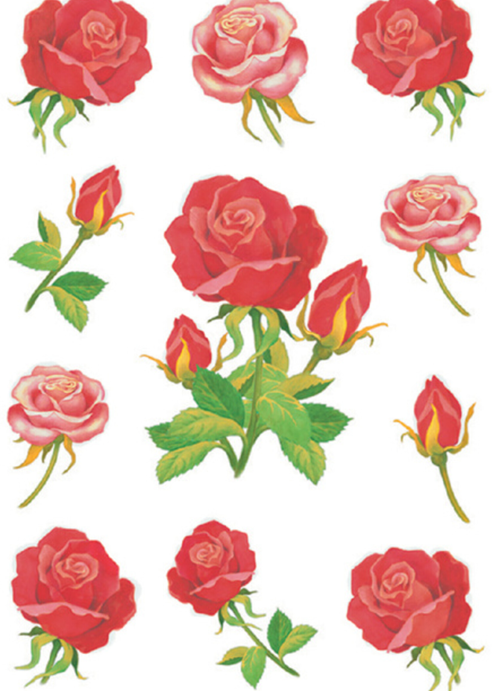 Herma Herma ETIKET 3581 ROOS 3VEL