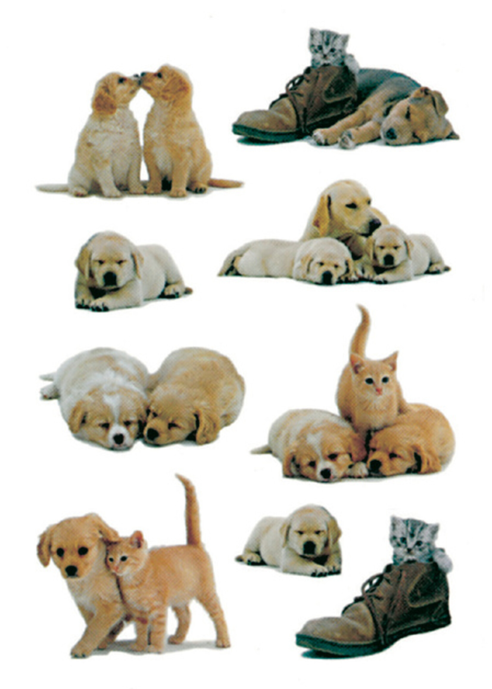 Herma Herma ETIKET 5606 PUPPY 3VEL