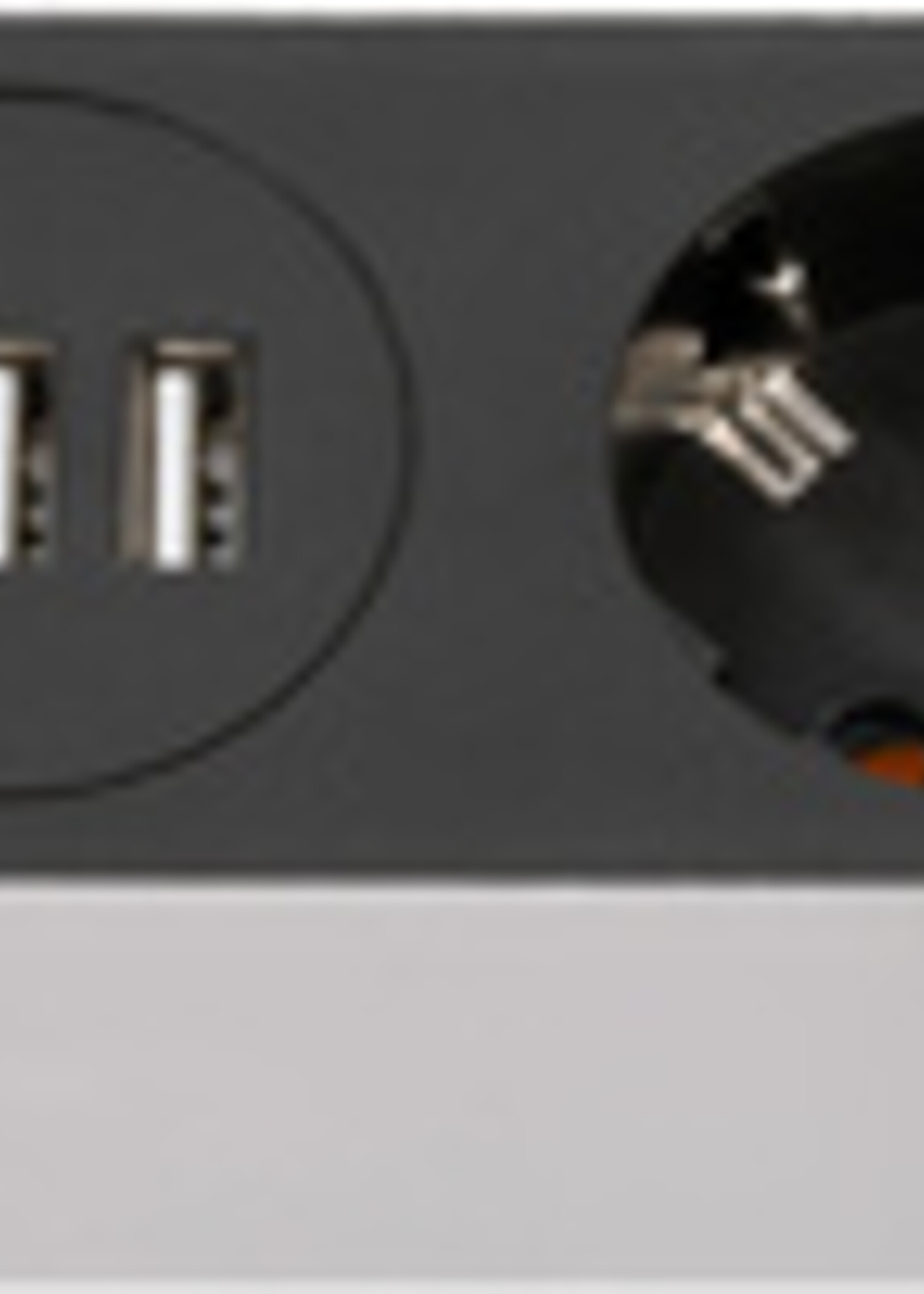 brennenstuhl brennenstuhl STEKKERDOOS 5VUSB 1.5 ZW P