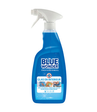 Blue Wonder GLASREINIGER BW SPRAY 1L