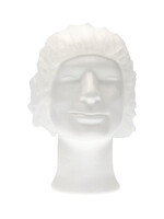 CMT HAARNET BOUFFANT L WT 100STKS