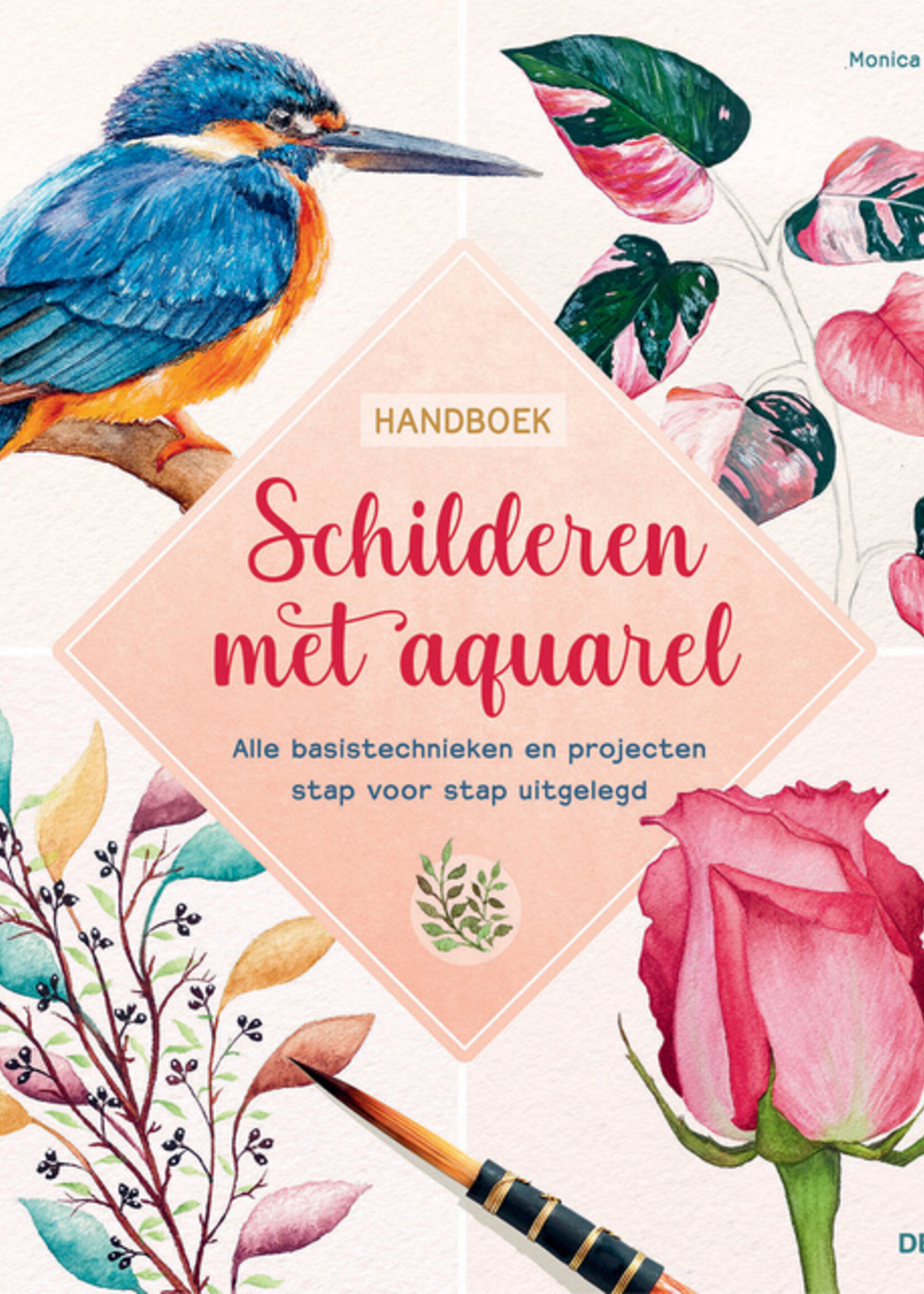 Deltas Deltas HANDBOEK SCHILDEREN AQUAREL