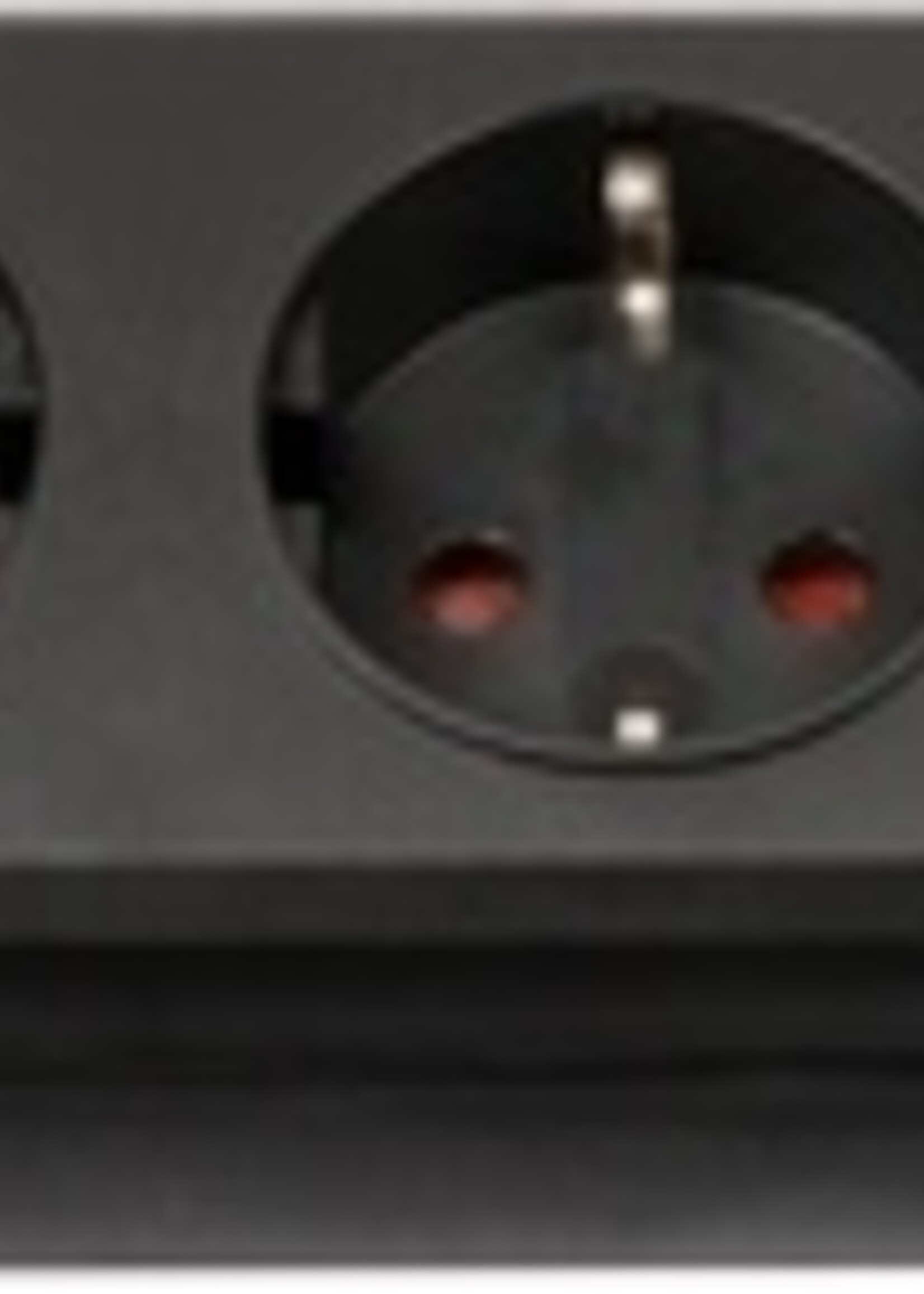 brennenstuhl brennenstuhl STEKKERDOOS BR 5VDIG USB