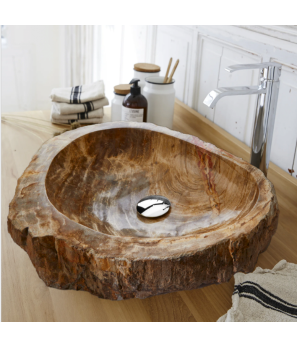 Rebel of Styles Petrified Wood Sink