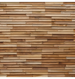 Rebel of Styles UltraWood Teak Concave