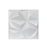 Rebel of Styles Geo Lite White