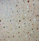 Klimex UltraStrong Terrazzo Round Beige