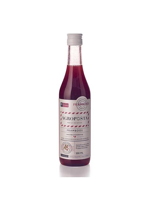 Agroposta Bottle of raspberry syrup