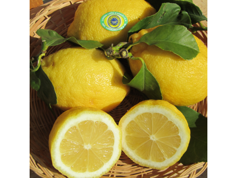 Amalfi Lemon