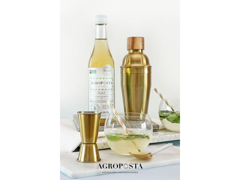 Agroposta Bottle mint sirup