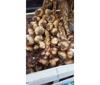 Gerookte Knoflook - 10 bollen