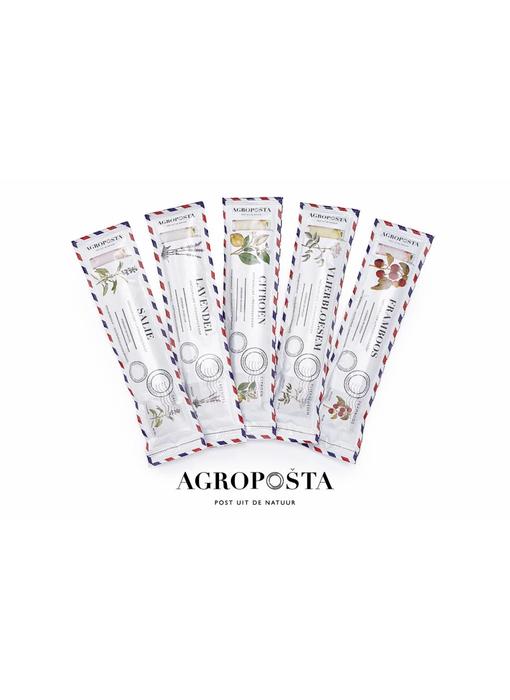 Agroposta Elderflower Syrup Sachet